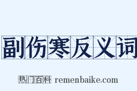 副伤寒反义词是什么意思的图片